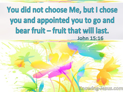 Being Chosen-John 15-16
